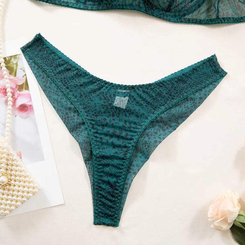 2pcs/Set Woman Lingerie Gather – Sheer Mesh Bra Bewertung und Preis
